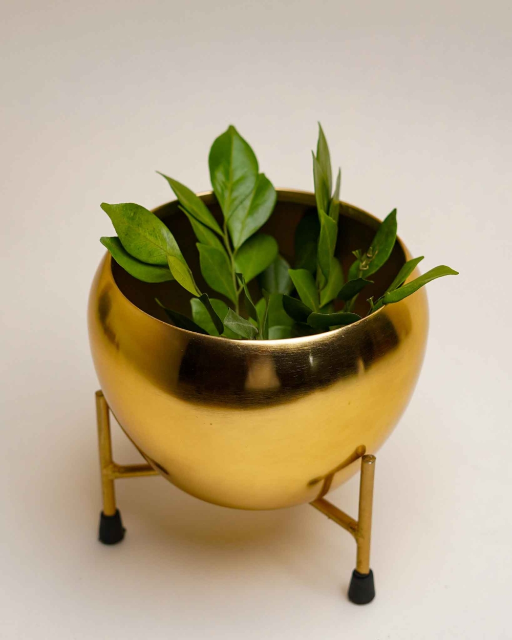 Amroha Planter With Stand
