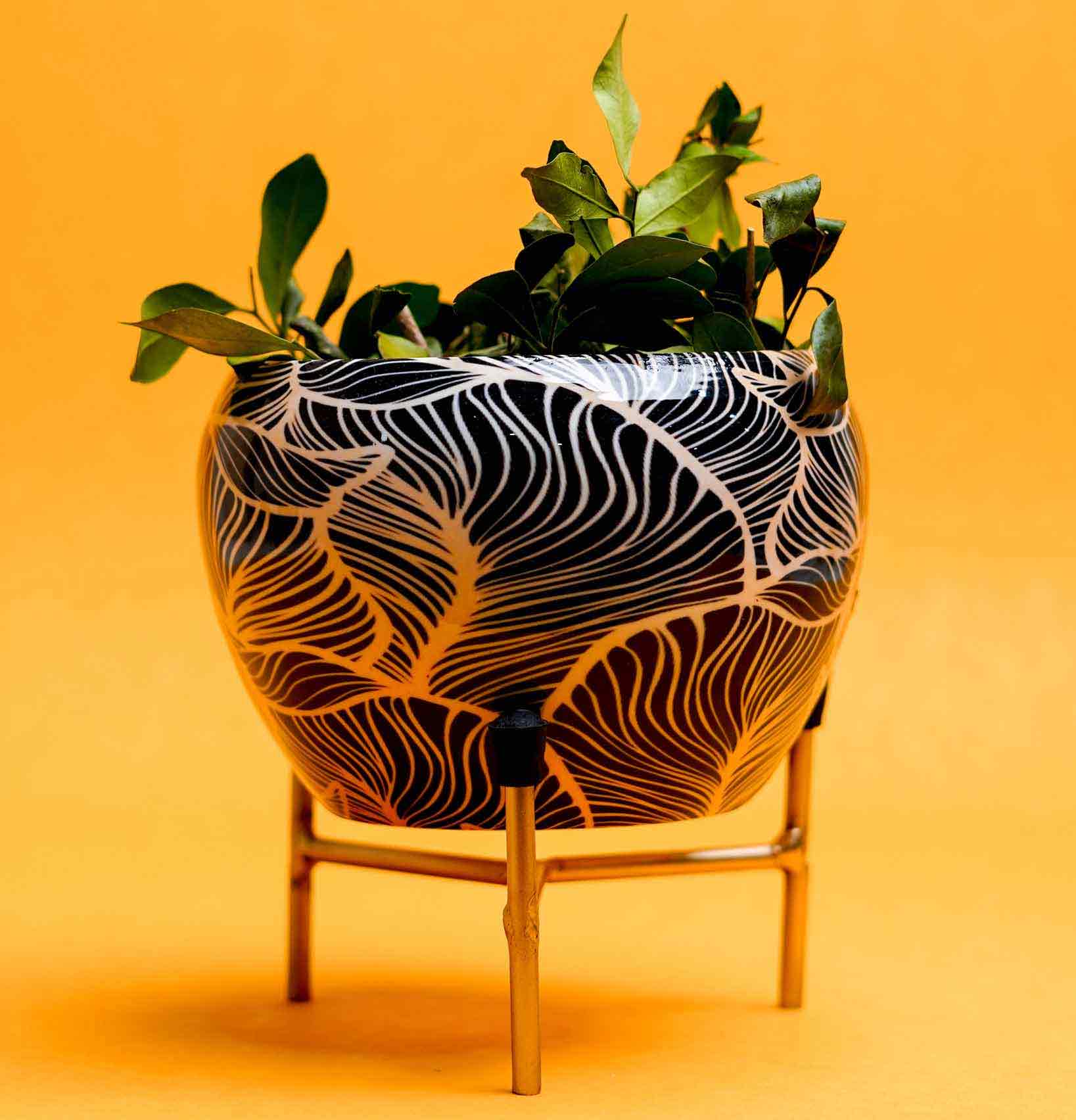 Aizawl Planter With Stand